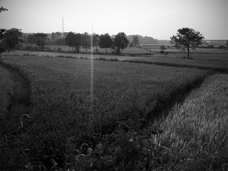 DSC_1935 