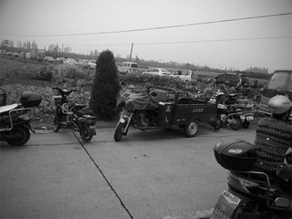 DSC_1948 