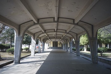 _DSC0343 