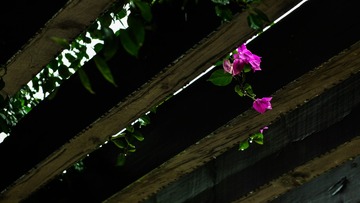 152042