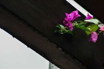 152046