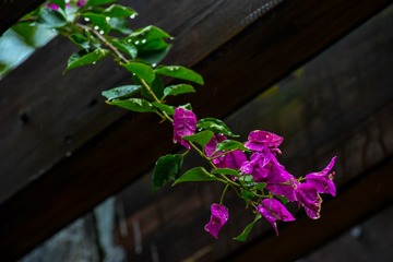 152038