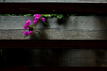 152043