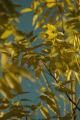 AD160060-D9AE-488B-AD30-270C8D612774/L0/001