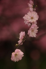 0B32B988-A010-4402-890C-F42B4169A3C1/L0/001