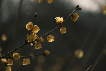 246DBADC-F655-4150-8DB4-45E9CA8C90B1/L0/001