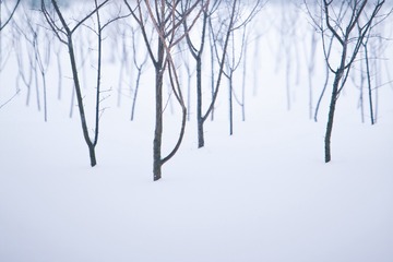 1312455
