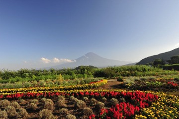 _DSC0837.JPG