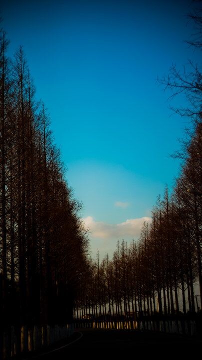 回家的路<br />
我就喜欢这个颜色的蓝天。