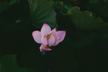 36AC0E75-82E2-4C9A-ADCF-BA318722EF01/L0/001