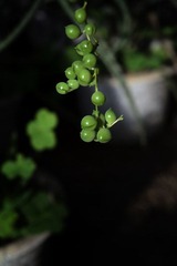 DSC_9045.jpg