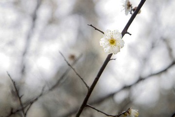 IMG_8977.jpg