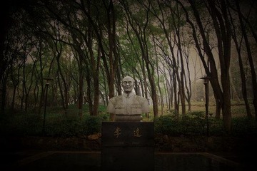 IMG_8990.jpg