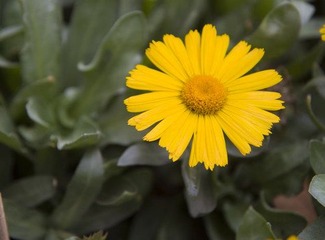 IMG_8998.jpg