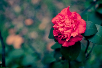 IMG_9001.jpg