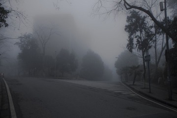 IMG_9014.jpg