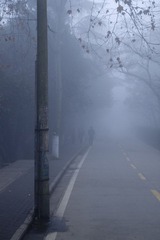 IMG_9017.jpg