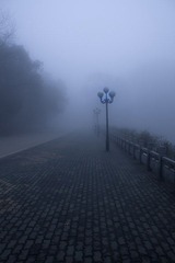 IMG_9028.jpg
