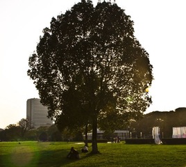 IMG_9573.jpg