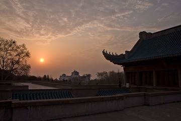 IMG_9624.jpg