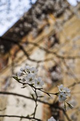 IMG_9643.jpg