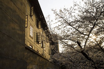 IMG_9670.jpg