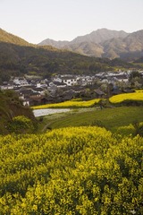 IMG_0217.jpg