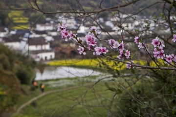 IMG_0222.jpg