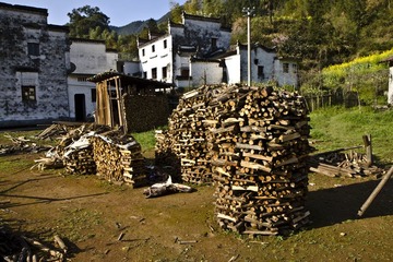 IMG_0285.jpg