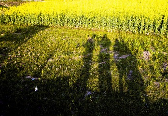 IMG_0396.jpg