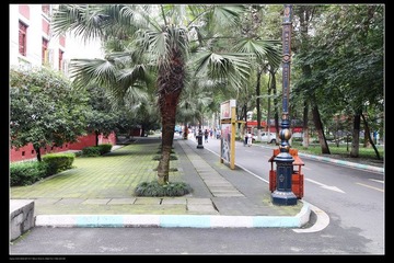 IMG_3637.jpg