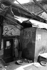 nEO_IMG_IMG_4971.jpg