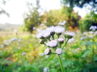 IMG_1472_副本.jpg