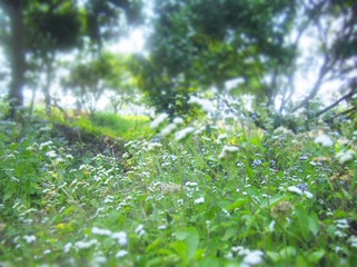 IMG_1455_副本.jpg