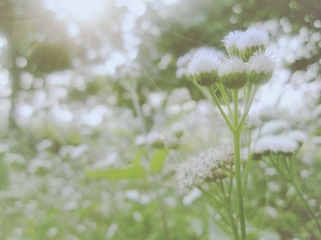 IMG_1451_副本.jpg