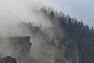 IMG_0935_副本1.jpg