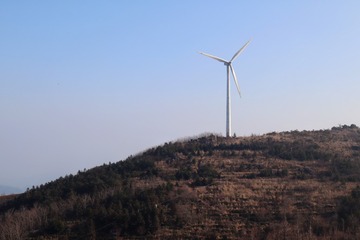 1000146121
