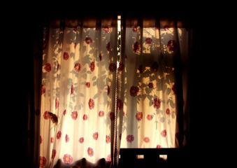 PICT0007.JPG