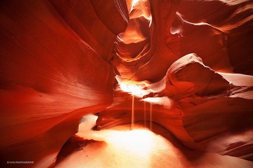 DSC_4157-copy.jpg