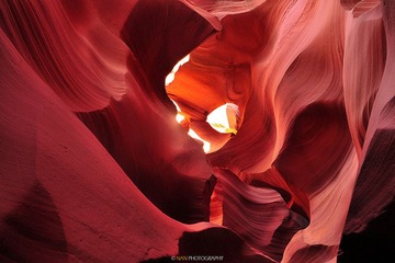 DSC_4518-copy.jpg