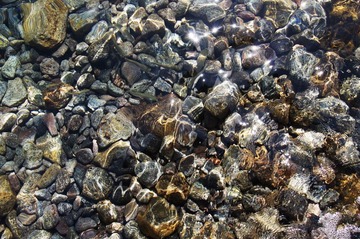 DSC00114.jpg
