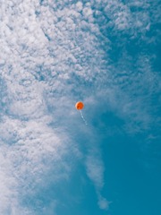 1000086651