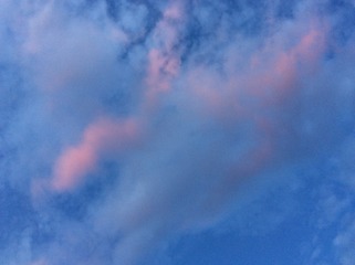 E1DE4F03-3C0D-4DC3-8E07-8561B0047C16/L0/001
