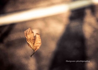 IMG_2161.jpg