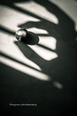 IMG_2079.jpg