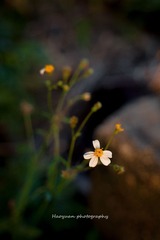 IMG_2106.jpg
