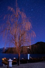 IMG_8546.jpg
