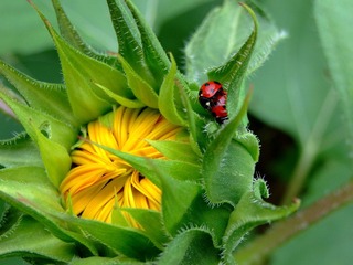 DSCF1101.JPG