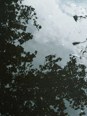 1000003236