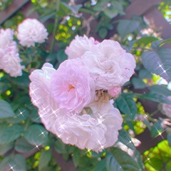 F4C46A50-99B2-4901-8DAC-1FD3954114F9/L0/001